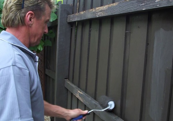 STEP 5: Paint your fence – Roller
